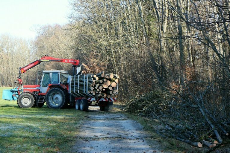 Greifer für Holz für flexibles Arbeiten