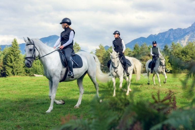 Reiten Bled – für Kleine und Große