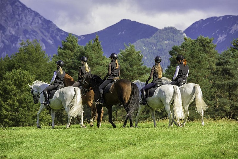 Reiten Bled mit Altitude activities