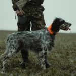 Jagdbekleidung - Grundlagen für neue Jäger
