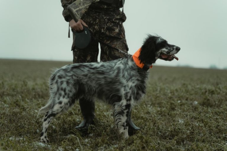 Jagdbekleidung – Grundlagen für neue Jäger