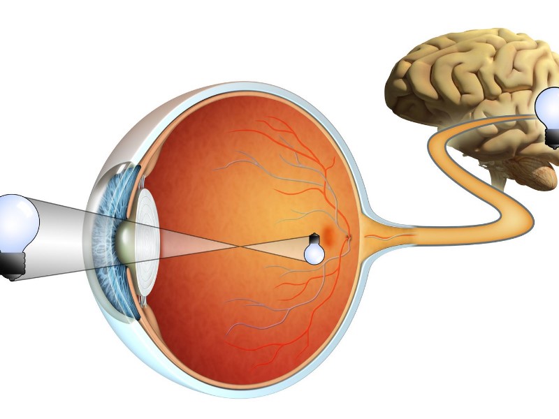 Optik befasst sich mit optischer Datenverarbeitung.