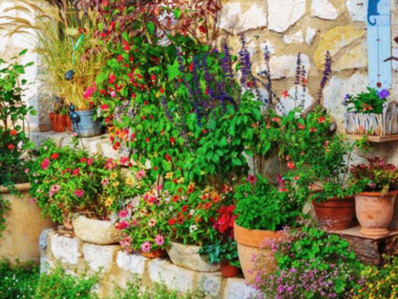 farbenfrohe Blumentöpfe