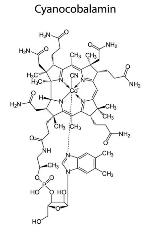 Cyanocobalamin ist eine
synthetische, sehr stabile und gut verträgliche Form von Vitamin B12